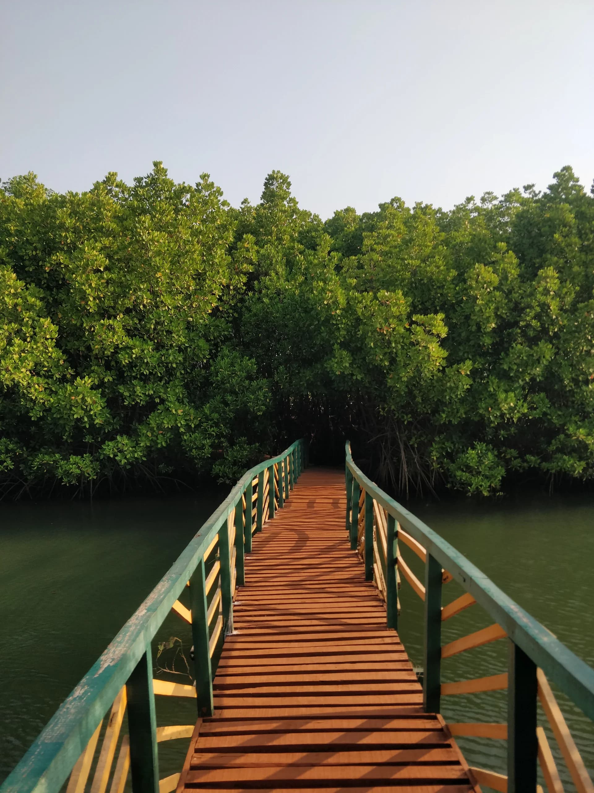 Andaman with Baratang Tour