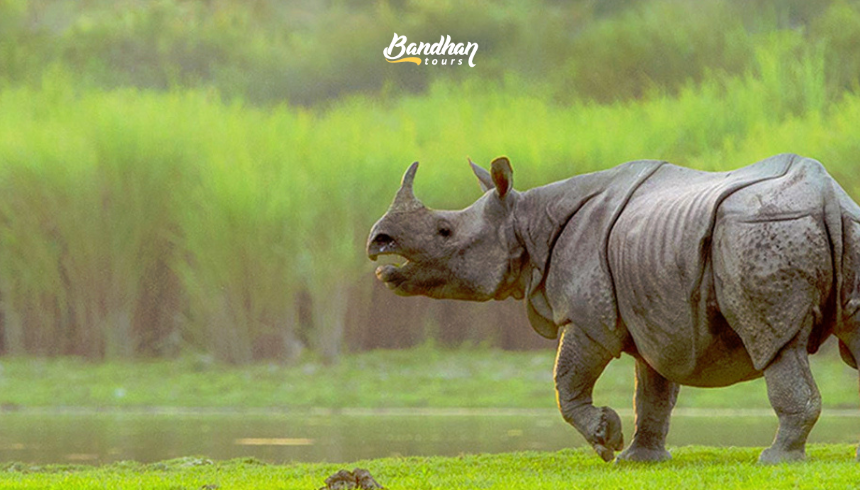 Assam Meghalaya: Glimpse of 2 Sisters