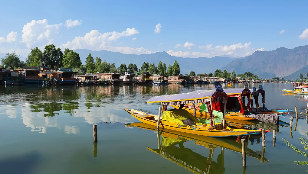kashmir-8