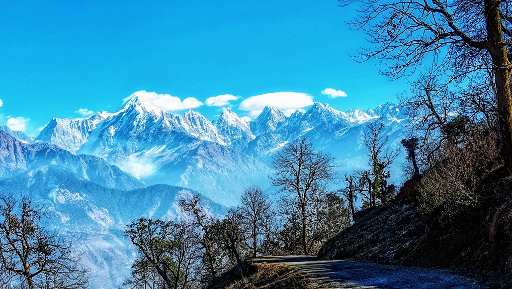 musori-cor-nainital7