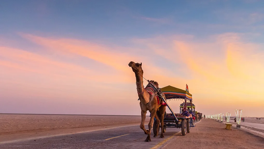 run-of-kutch-5-days5