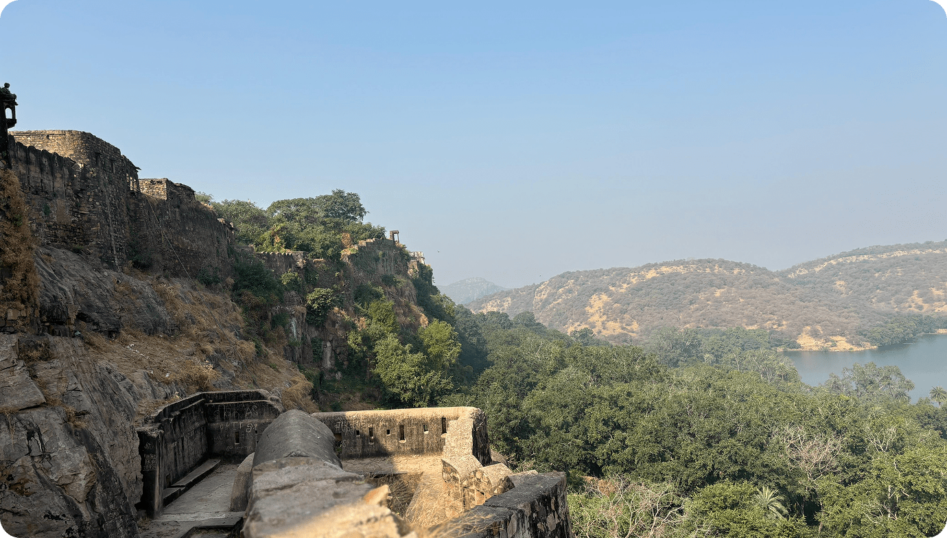 manali-chavan-review2